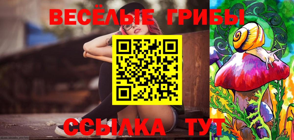 Псилоцибиновые грибы Psilocybine cubensis  Вход с VPN  Якутск 